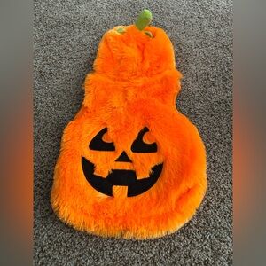 Pumpkin Dog Costume - Orange